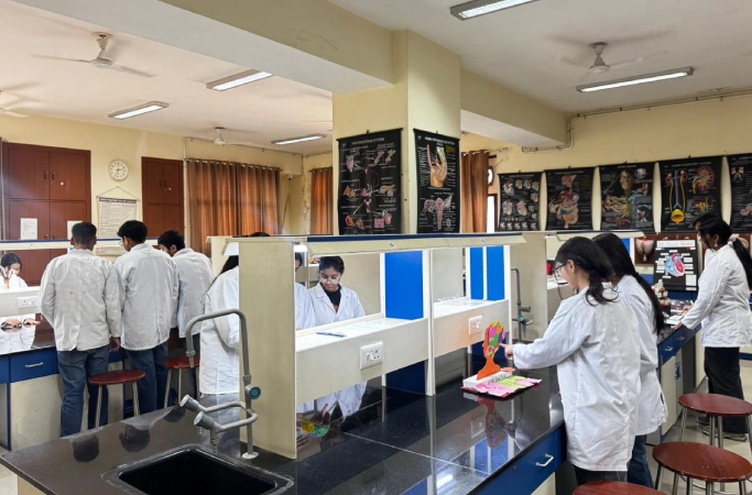 From cells to systems visualizing anatomy and  understanding physiology
